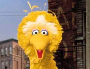 'Big Bird' space neutrino has highest energy yet seen