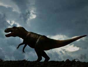 <i>T. rex</i> didn't need proper arms thanks to its neck