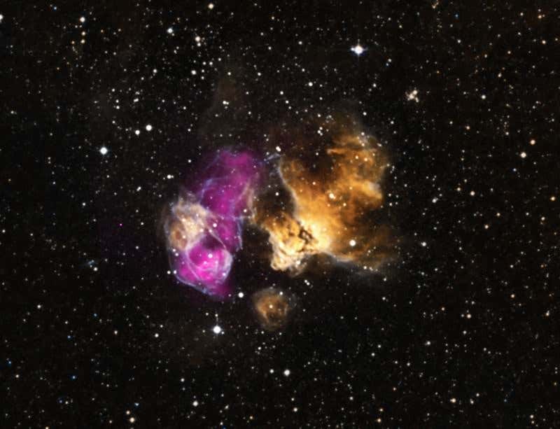 New Scientist. Science news and long reads from expert journalists, covering developments in science, technology, health and the environment on the website and the magazine.