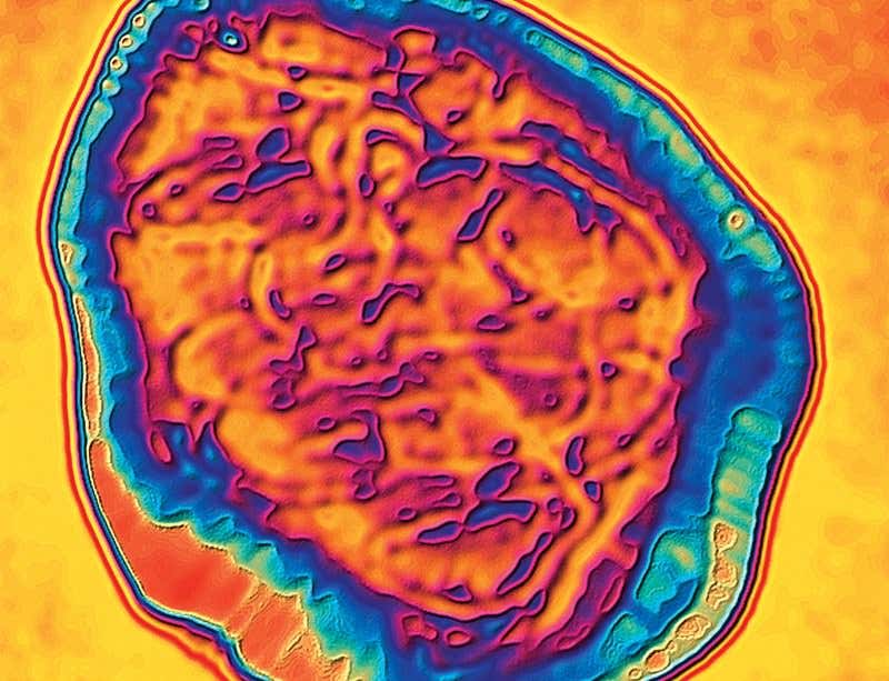 New Scientist. Science news and long reads from expert journalists, covering developments in science, technology, health and the environment on the website and the magazine.
