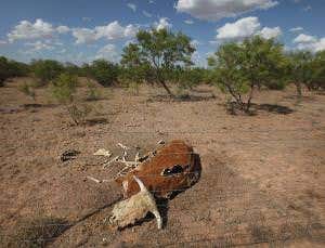 The story of climate change gets star treatment