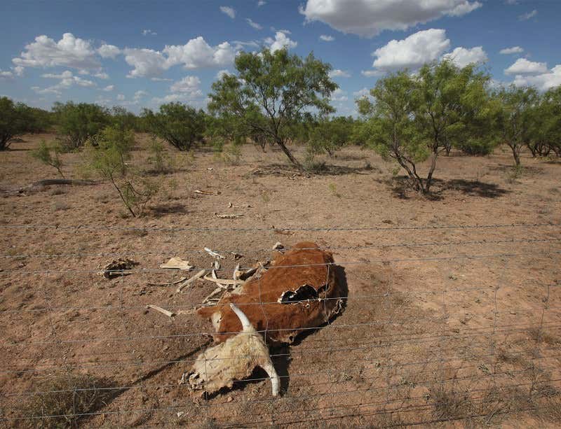 New Scientist. Science news and long reads from expert journalists, covering developments in science, technology, health and the environment on the website and the magazine.