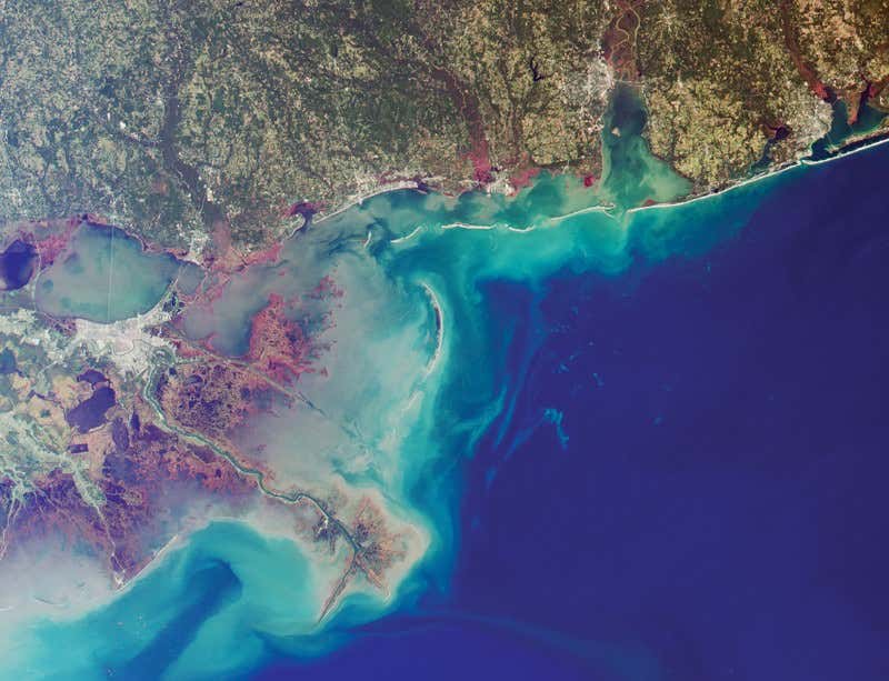 New Scientist. Science news and long reads from expert journalists, covering developments in science, technology, health and the environment on the website and the magazine.