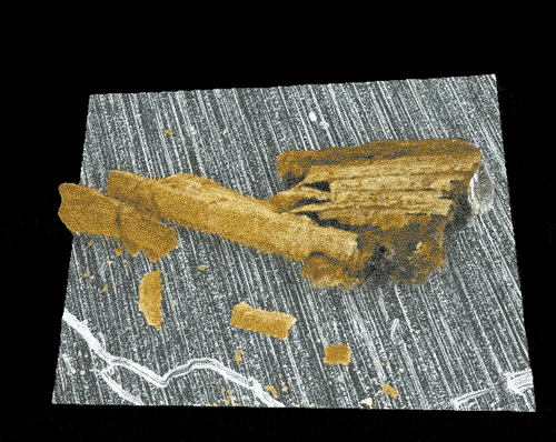 New Scientist. Science news and long reads from expert journalists, covering developments in science, technology, health and the environment on the website and the magazine.