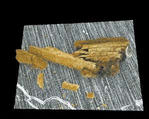 Instant fossils found trapped in asteroid impact glass