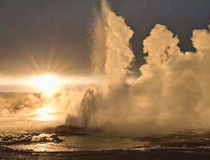 Spark of life: Metabolism appears in lab without cells