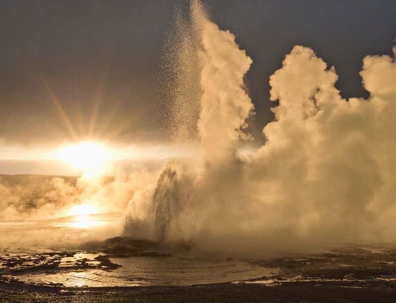 New Scientist. Science news and long reads from expert journalists, covering developments in science, technology, health and the environment on the website and the magazine.