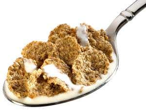 Fibre sends appetite-suppressing molecule to the brain