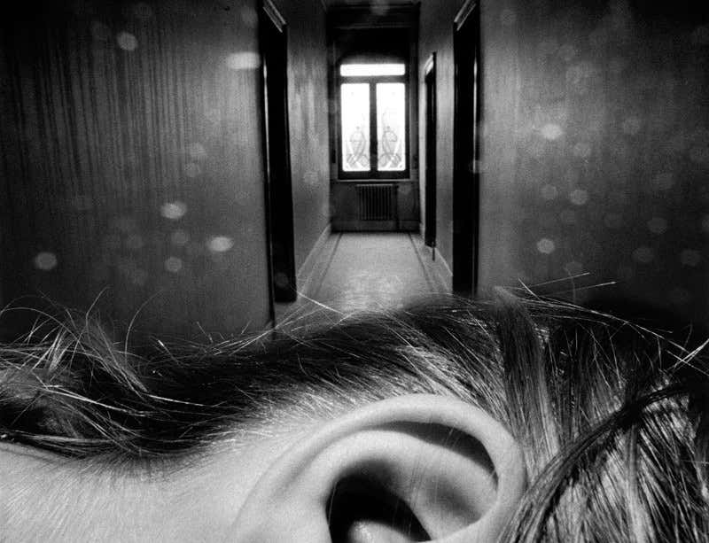 New Scientist. Science news and long reads from expert journalists, covering developments in science, technology, health and the environment on the website and the magazine.