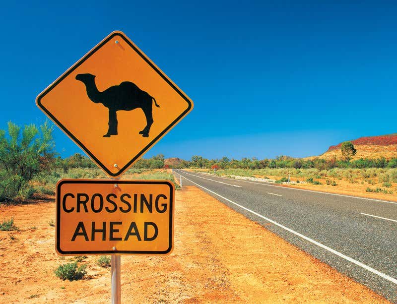 New Scientist. Science news and long reads from expert journalists, covering developments in science, technology, health and the environment on the website and the magazine.