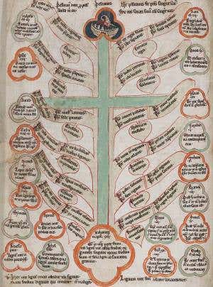 Why do we love to organise knowledge into trees?