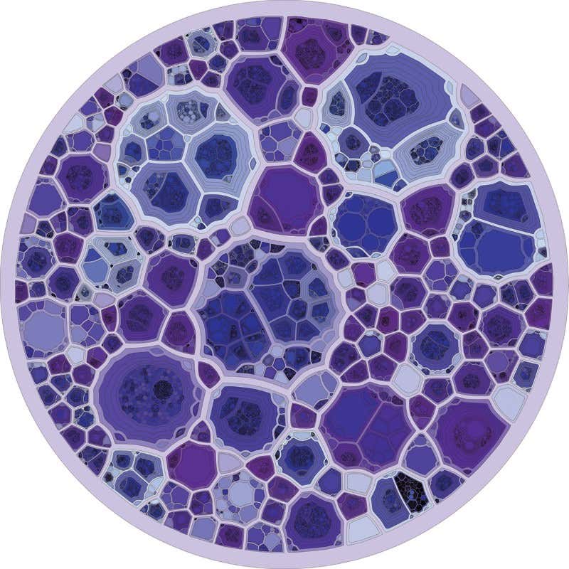 Why do we love to organise knowledge into trees?