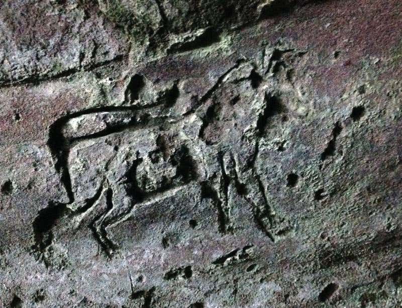 New Scientist. Science news and long reads from expert journalists, covering developments in science, technology, health and the environment on the website and the magazine.