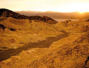 No more primal soup: Creating life without water