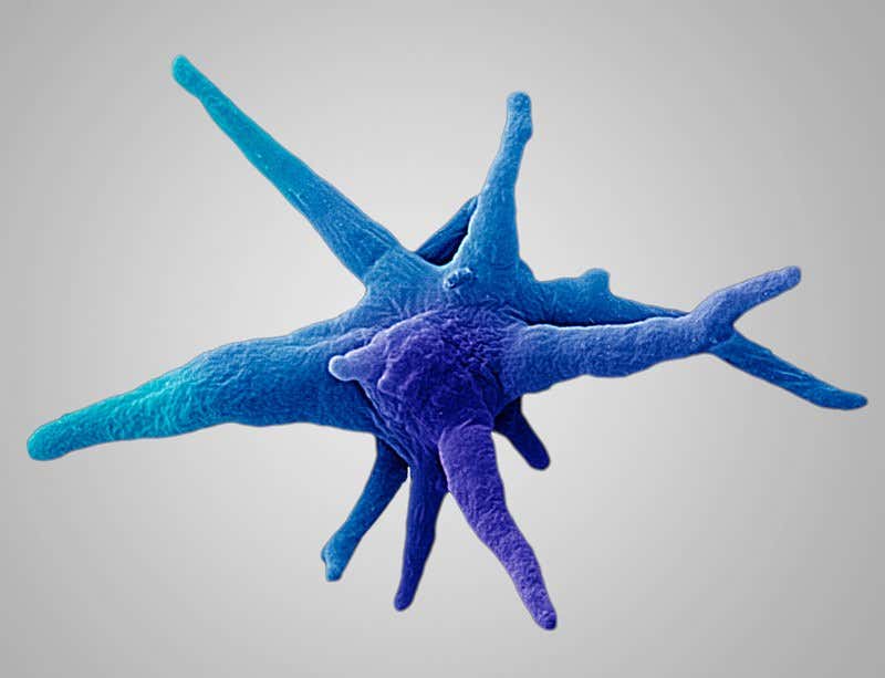 New Scientist. Science news and long reads from expert journalists, covering developments in science, technology, health and the environment on the website and the magazine.