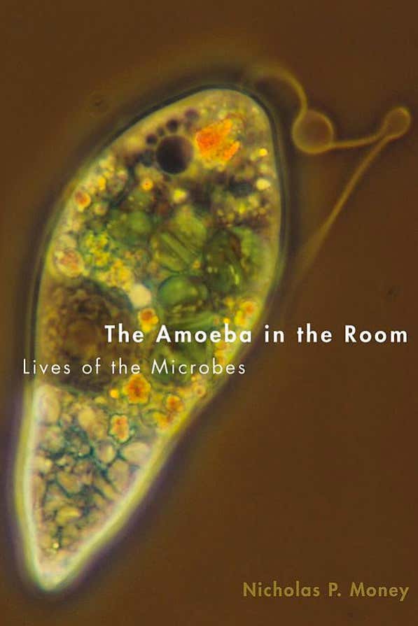 The coolest biology is under the microscope