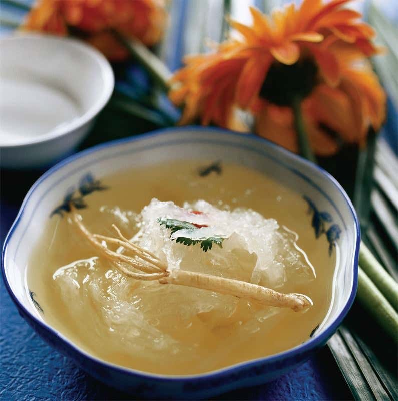 Nested interests: A bespoke farm for edible bird nests