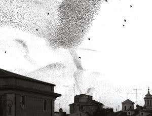 One rule of life: Are we poised on the border of order?