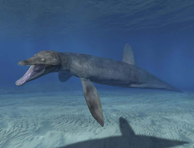 New Scientist. Science news and long reads from expert journalists, covering developments in science, technology, health and the environment on the website and the magazine.