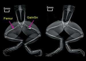 New Scientist. Science news and long reads from expert journalists, covering developments in science, technology, health and the environment on the website and the magazine.