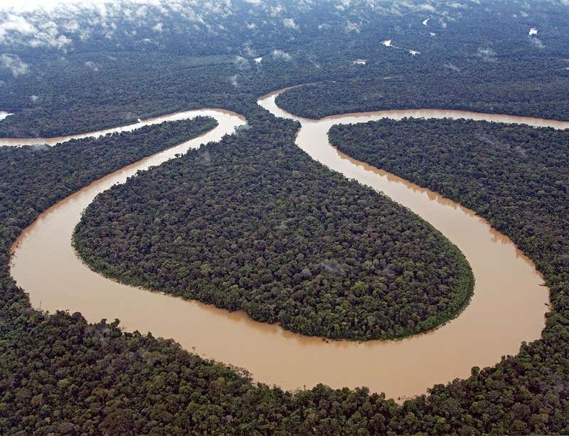 New Scientist. Science news and long reads from expert journalists, covering developments in science, technology, health and the environment on the website and the magazine.