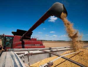 Vermont is first to label genetically modified food