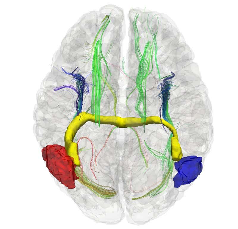 New Scientist. Science news and long reads from expert journalists, covering developments in science, technology, health and the environment on the website and the magazine.