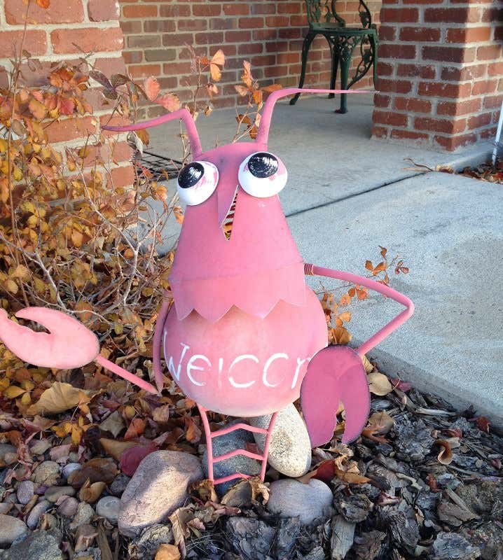 New Scientist. Science news and long reads from expert journalists, covering developments in science, technology, health and the environment on the website and the magazine.