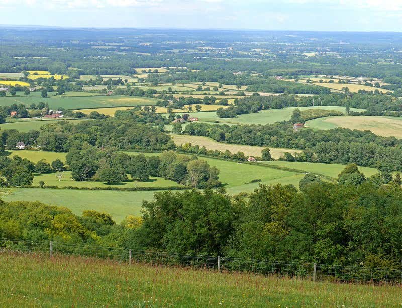 New Scientist. Science news and long reads from expert journalists, covering developments in science, technology, health and the environment on the website and the magazine.