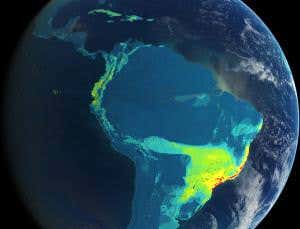 We are killing species at 1000 times the natural rate