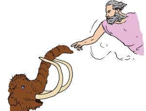 Feedback: Fossils battle evolution