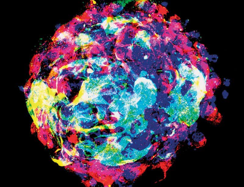 New Scientist. Science news and long reads from expert journalists, covering developments in science, technology, health and the environment on the website and the magazine.