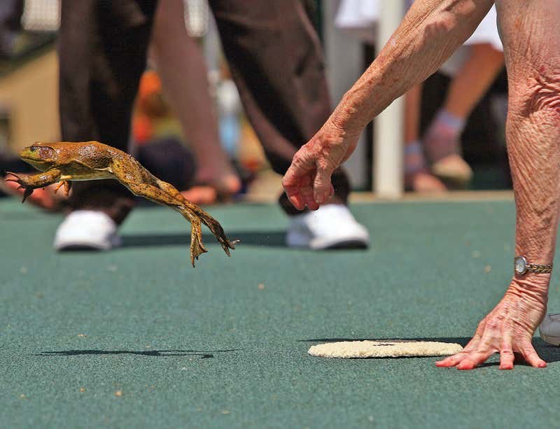 New Scientist. Science news and long reads from expert journalists, covering developments in science, technology, health and the environment on the website and the magazine.