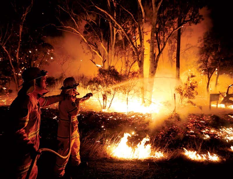New Scientist. Science news and long reads from expert journalists, covering developments in science, technology, health and the environment on the website and the magazine.