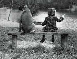 Has social living shrunk our brains?