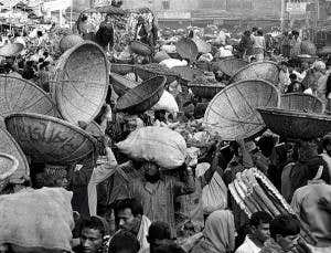 A lot on their plate: Ensuring there's enough to go around