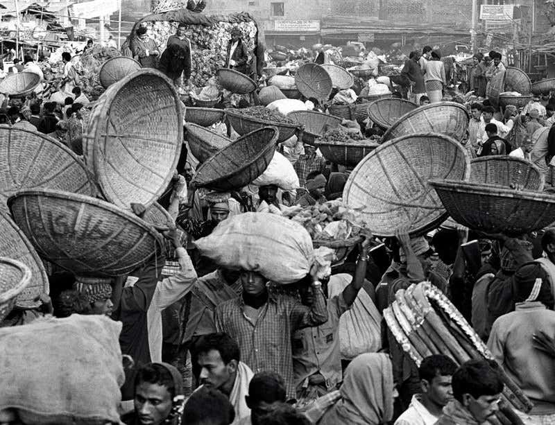 New Scientist. Science news and long reads from expert journalists, covering developments in science, technology, health and the environment on the website and the magazine.