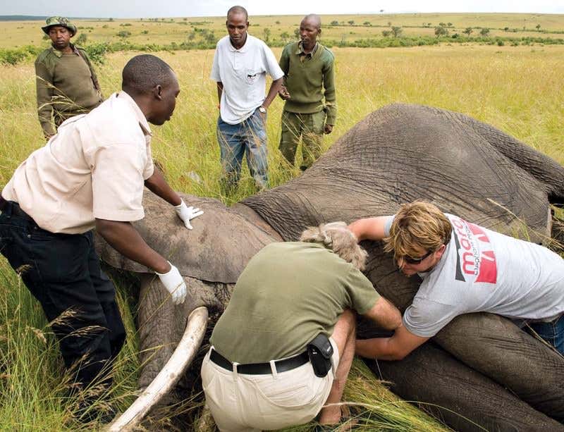 New Scientist. Science news and long reads from expert journalists, covering developments in science, technology, health and the environment on the website and the magazine.