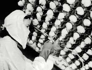 Why antibiotics are WMDs to our bodies' microbes