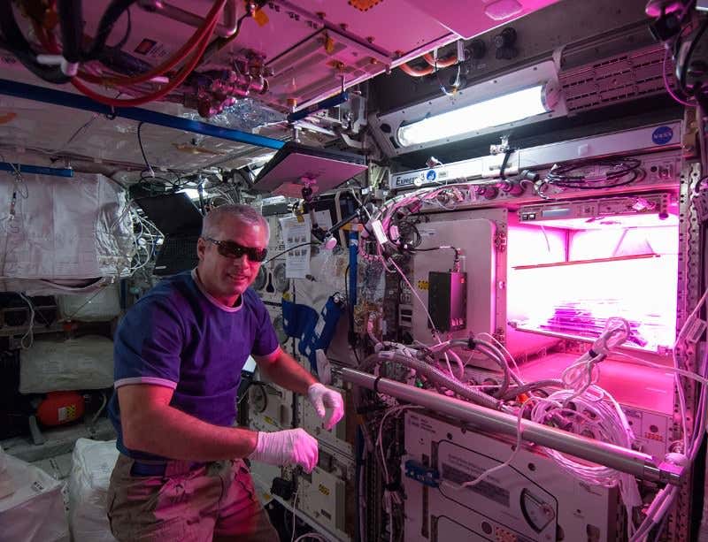 New Scientist. Science news and long reads from expert journalists, covering developments in science, technology, health and the environment on the website and the magazine.