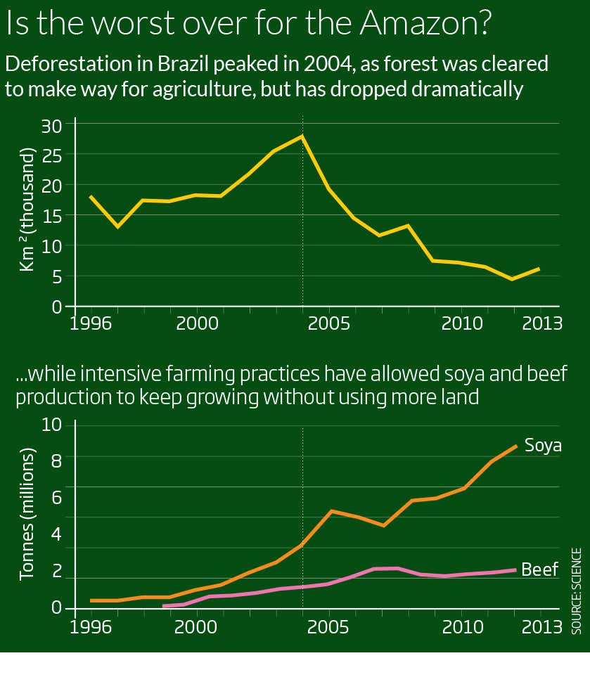 Is the worst over for the Amazon?