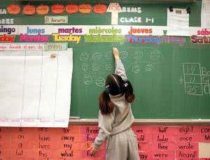 Learn a second language to slow ageing brain's decline