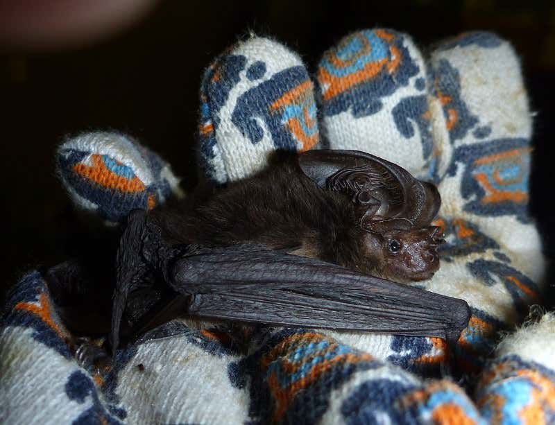 New Scientist. Science news and long reads from expert journalists, covering developments in science, technology, health and the environment on the website and the magazine.