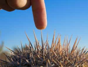 Fingertips and forehead are most sensitive to pain