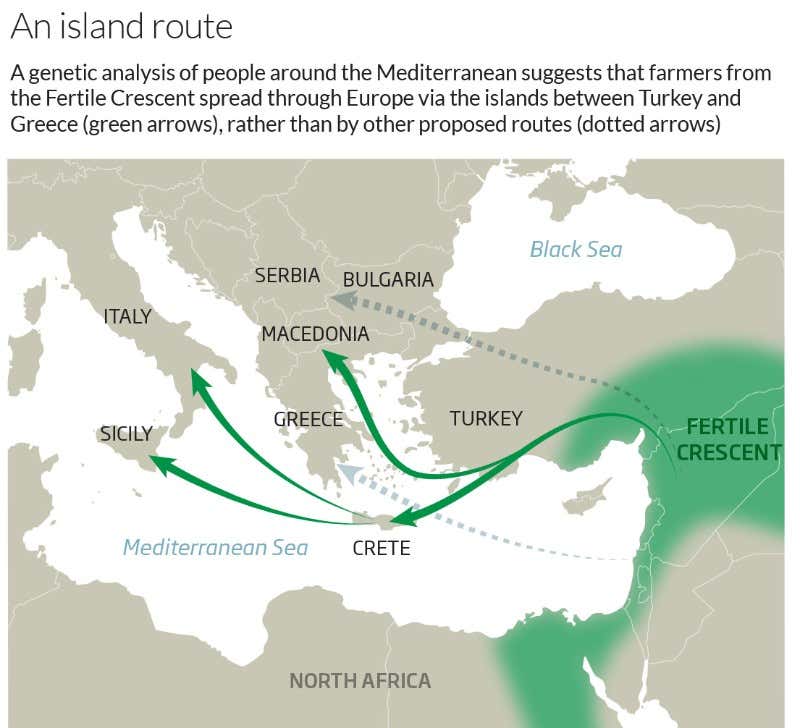 Island-hopping odyssey brought civilisation to Europe