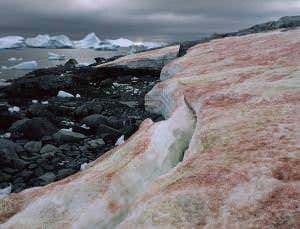 Extreme checklist to look for odd life on other worlds