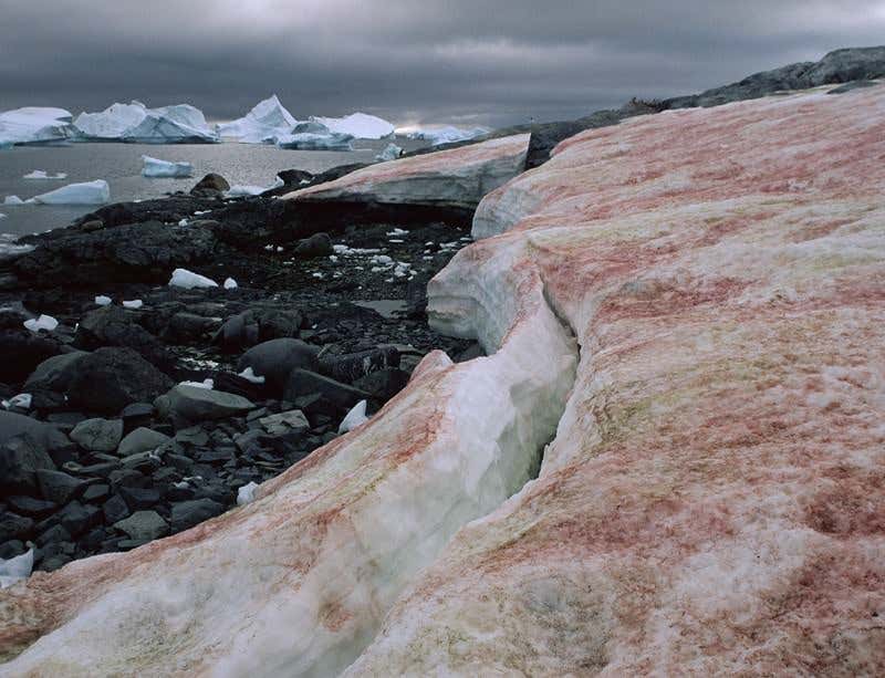 New Scientist. Science news and long reads from expert journalists, covering developments in science, technology, health and the environment on the website and the magazine.