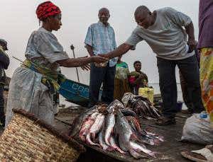 Oil drillers promise to withdraw from Africa's Eden