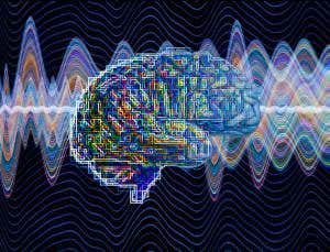 Our humming brains help us learn rapidly