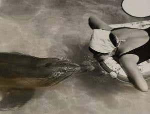 Talking dolphins and the love story that wasn't